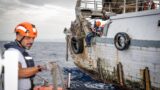“Coastex Sualo 2025”, maxi esercitazione internazionale al largo del litorale romano
