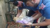 Roma, vede i Carabinieri, scappa e lancia a terra una busta: nascondeva più di 1000 pasticche di ecstasy