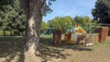 Roma, parco Talenti torna in sicurezza: “Gualtieri restituisca presto ai cittadini la totale fruibilità dell’area” (FOTO)