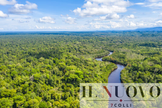 Borneo