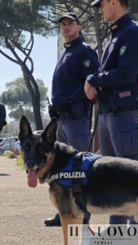 Cane antidroga polizia Argo