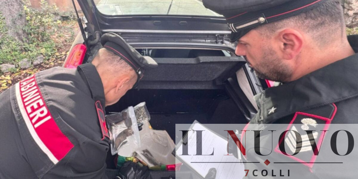 Carabinieri di Castel Gandolfo in azione