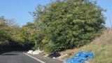 Roma, ancora discariche abusive in via di Settebagni: sversamenti continui (FOTO)