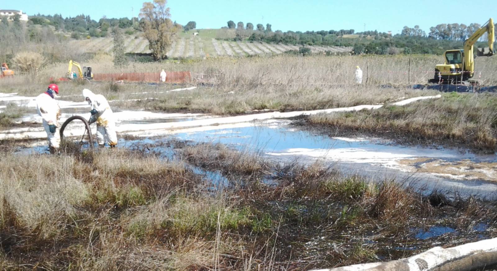 Una classica bonifica di terreno agricolo post contaminazione da idrocarburi, come quella appena ultima a Fiumicino