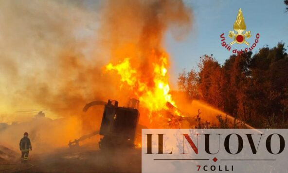 Incendio a Castel Fusano a Roma