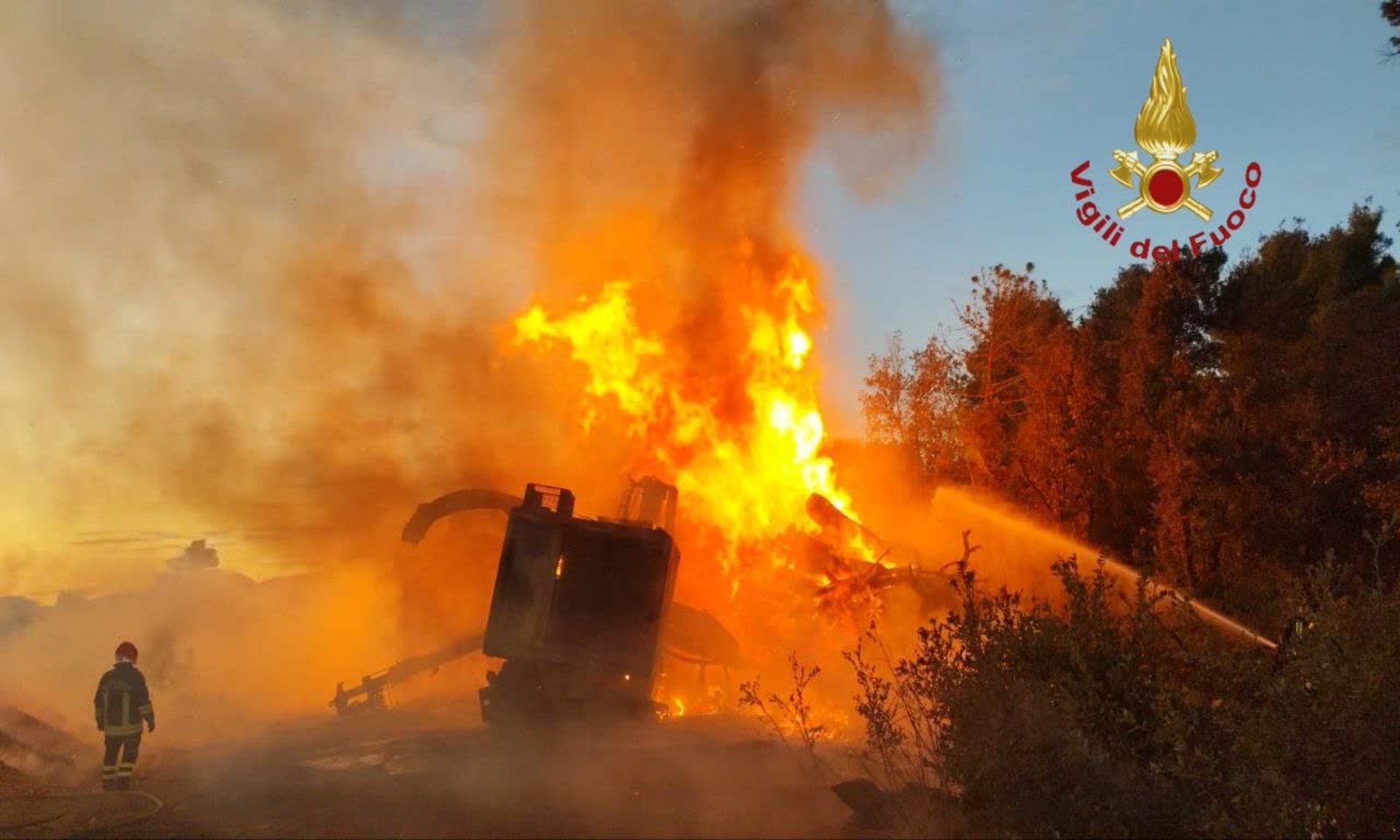 Incendio a Castel Fusano a Roma