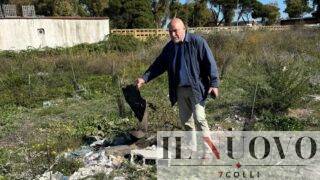Ostia, aggredito nella pineta di Castel Fusano componente della Commissione Antimafia Marco Doria: fermato un uomo