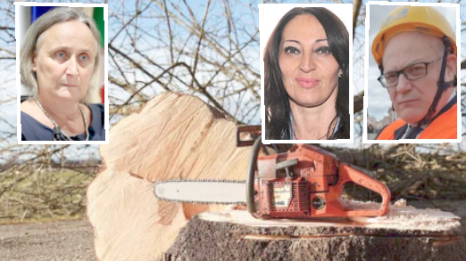 Roma, sullo sfondo una motosega che abbatte un albero, in primo piano il sindaco Gualtieri, l'assessore all'Ambiente Alfonsi e la presidente dell'aula Giulio Cesare, Svetlana Celli