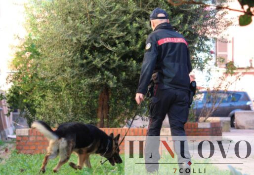 Carabinieri in azione a Roma - www.7colli.it
