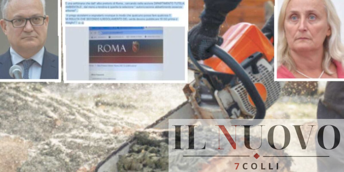 Sullo sfondo, il post dei cittadini di Roma, in primo piano il sindaco Gualtieri e l'assessore Alfonsi