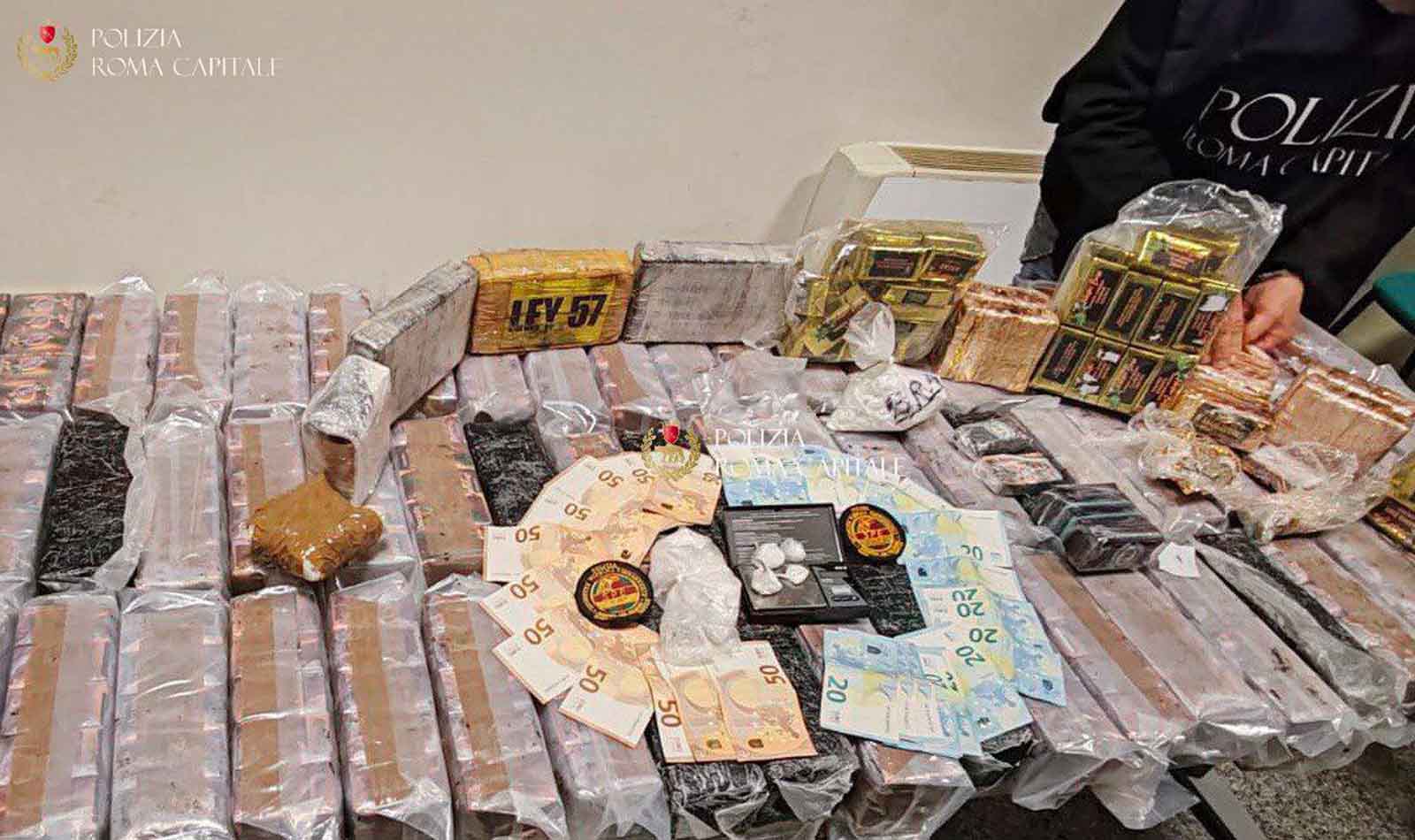 Roma, scoperti 200 chili di droga nascosti in un canile abusivo