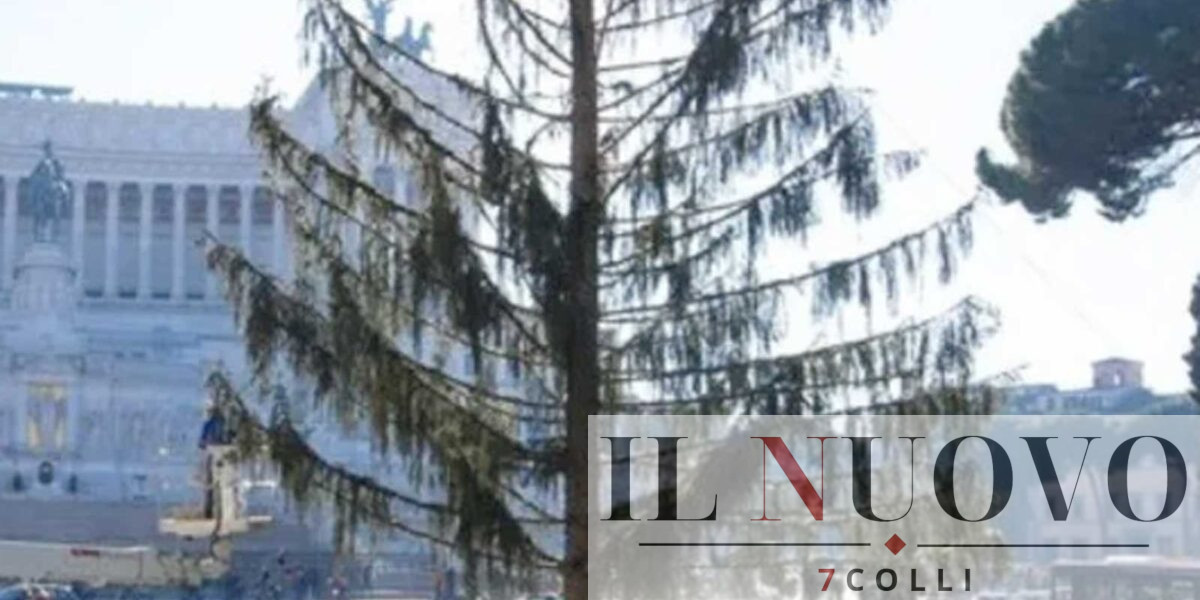Roma, l'albero di Natale soprannom