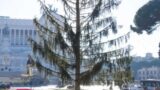 Roma, per il Natale 2025 un nuovo albero dedicato alla pace: Campidoglio cerca sponsor da 139mila €
