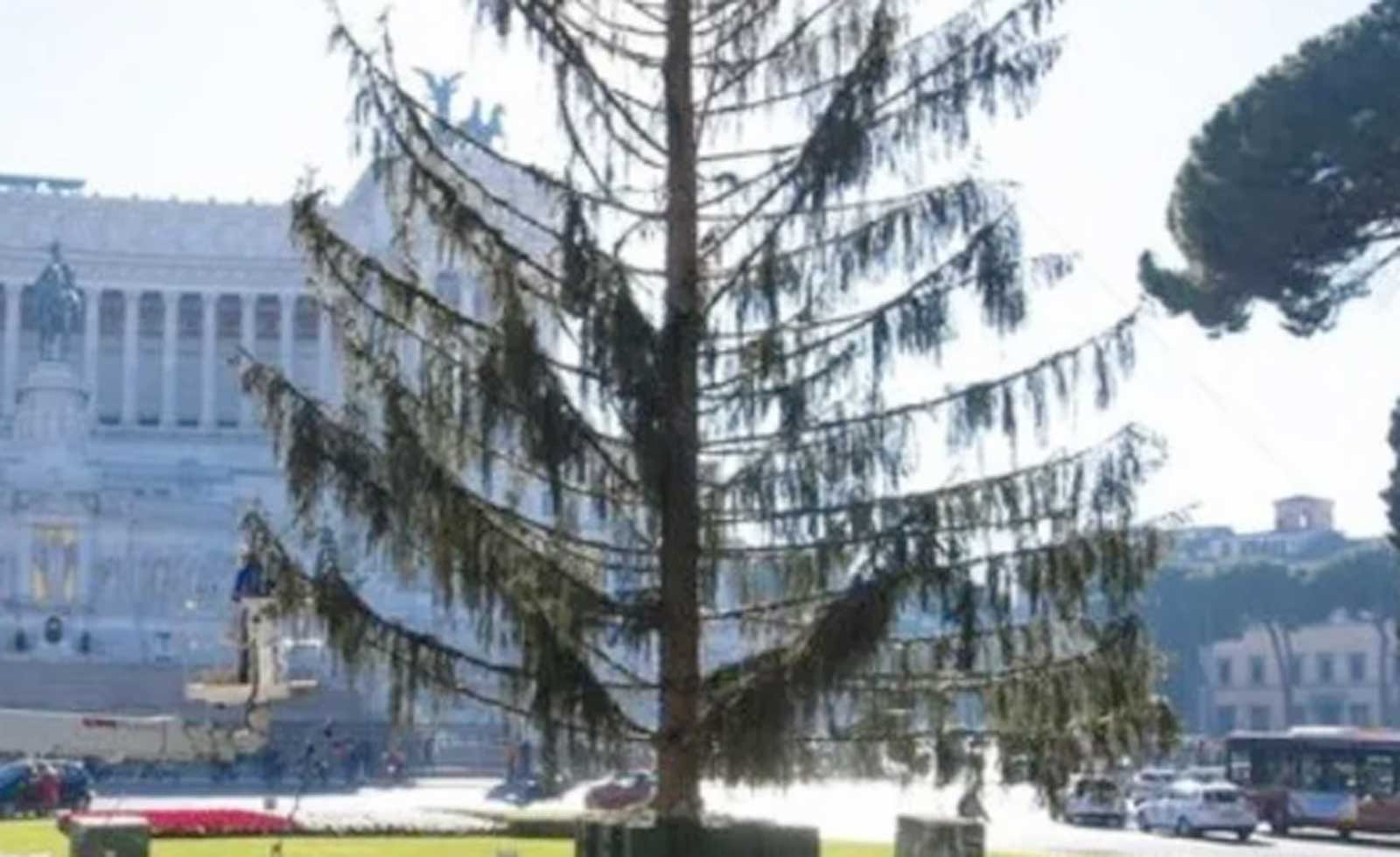 Roma, l'albero di Natale soprannom