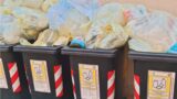 Roma, topi nella mensa della scuola dell’Aurelio, allarme sanitario di genitori e politici