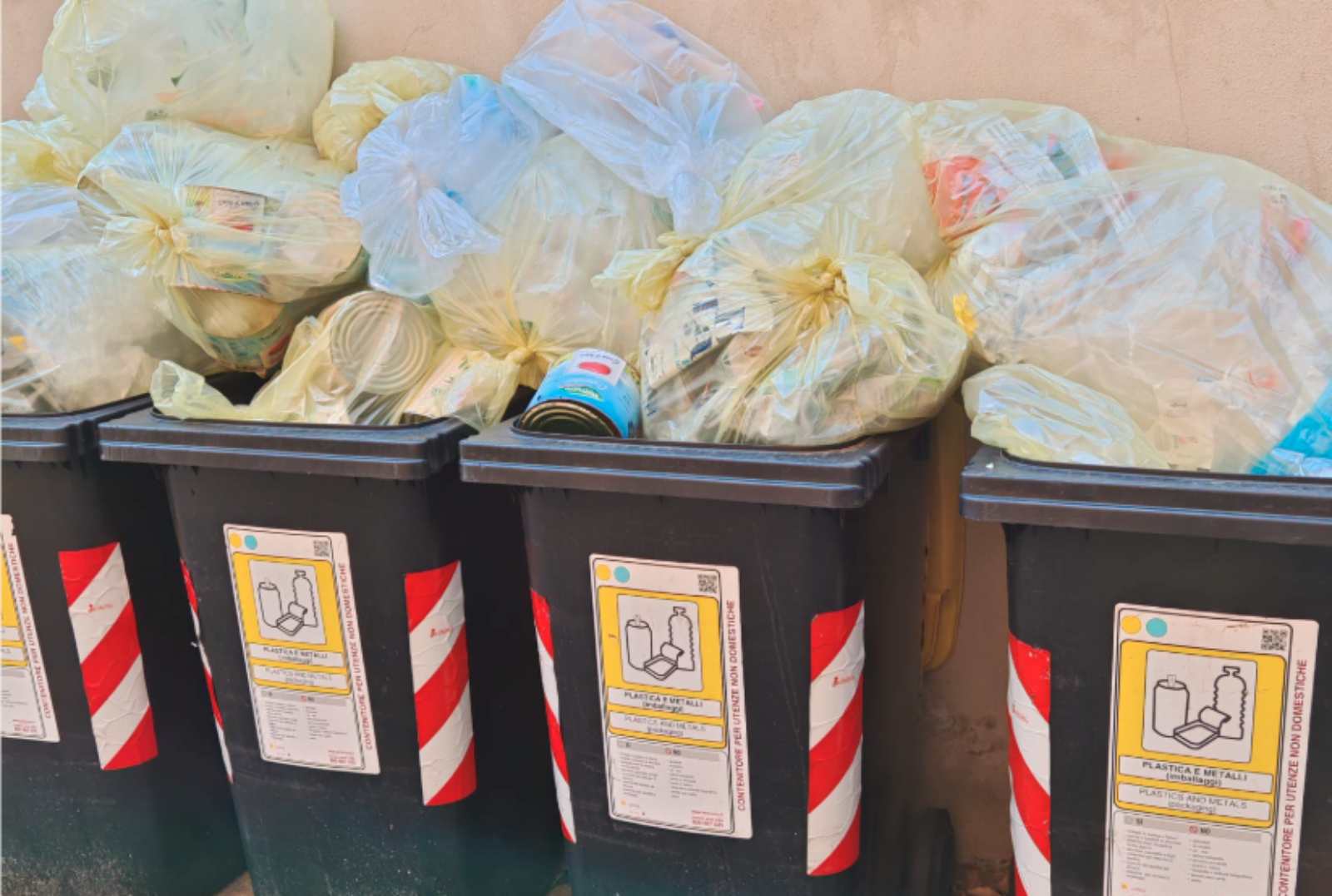Roma, topi a scuola