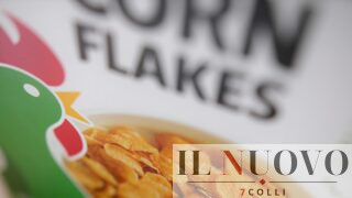 Fiumicino, nascondono 160 mila euro nelle scatole dei corn flakes: i soldi diretti in Gambia