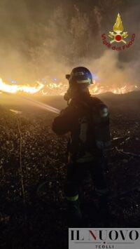 Incendio Pineta Castel Fusano 