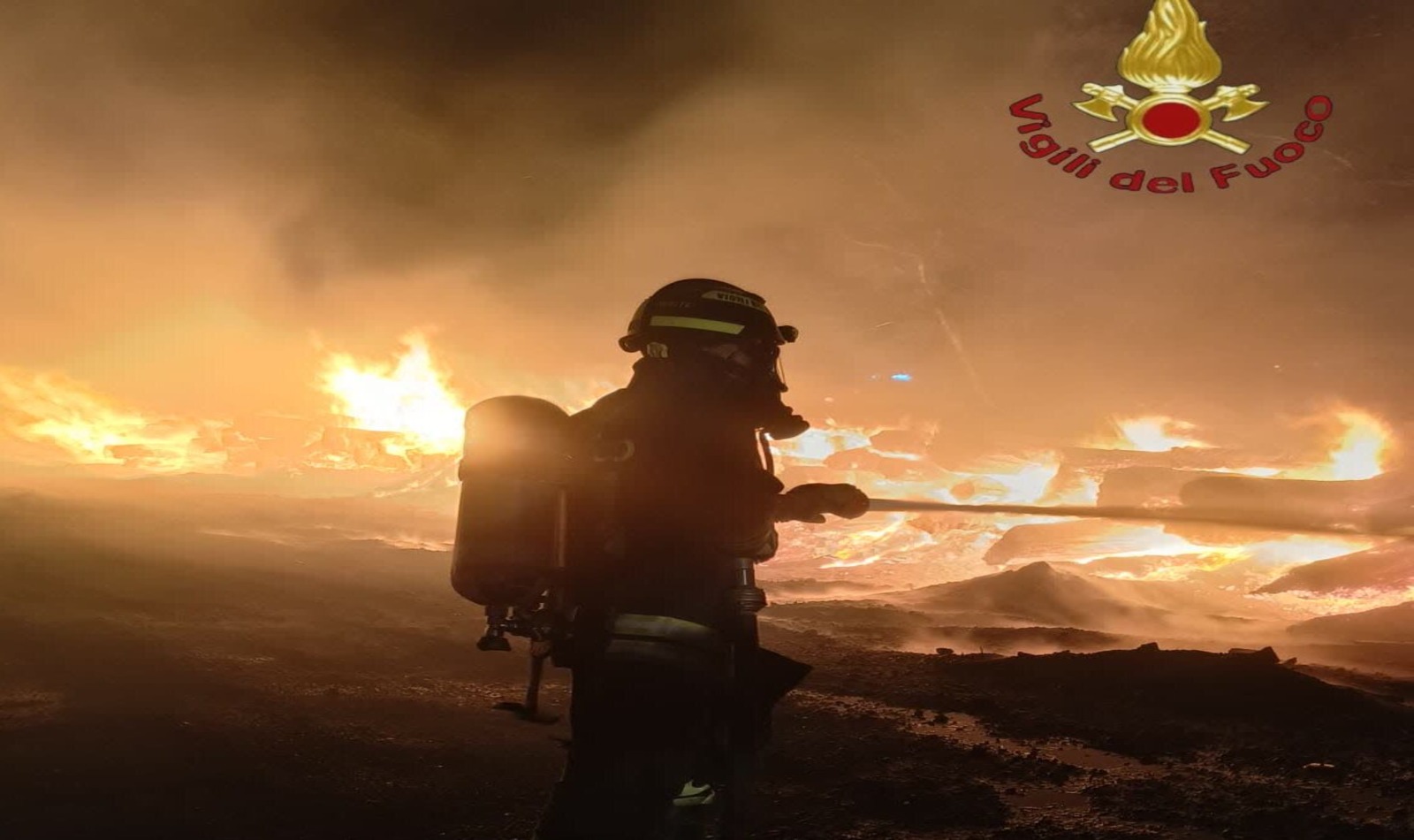Incendio pineta Castel Fusano