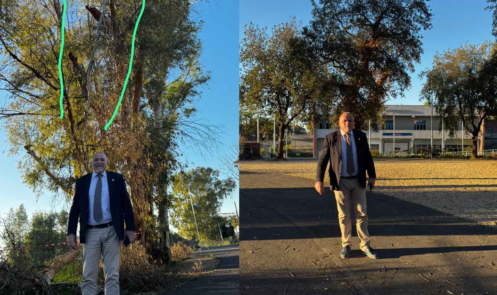 Acilia ramo pericolante Marco Doria