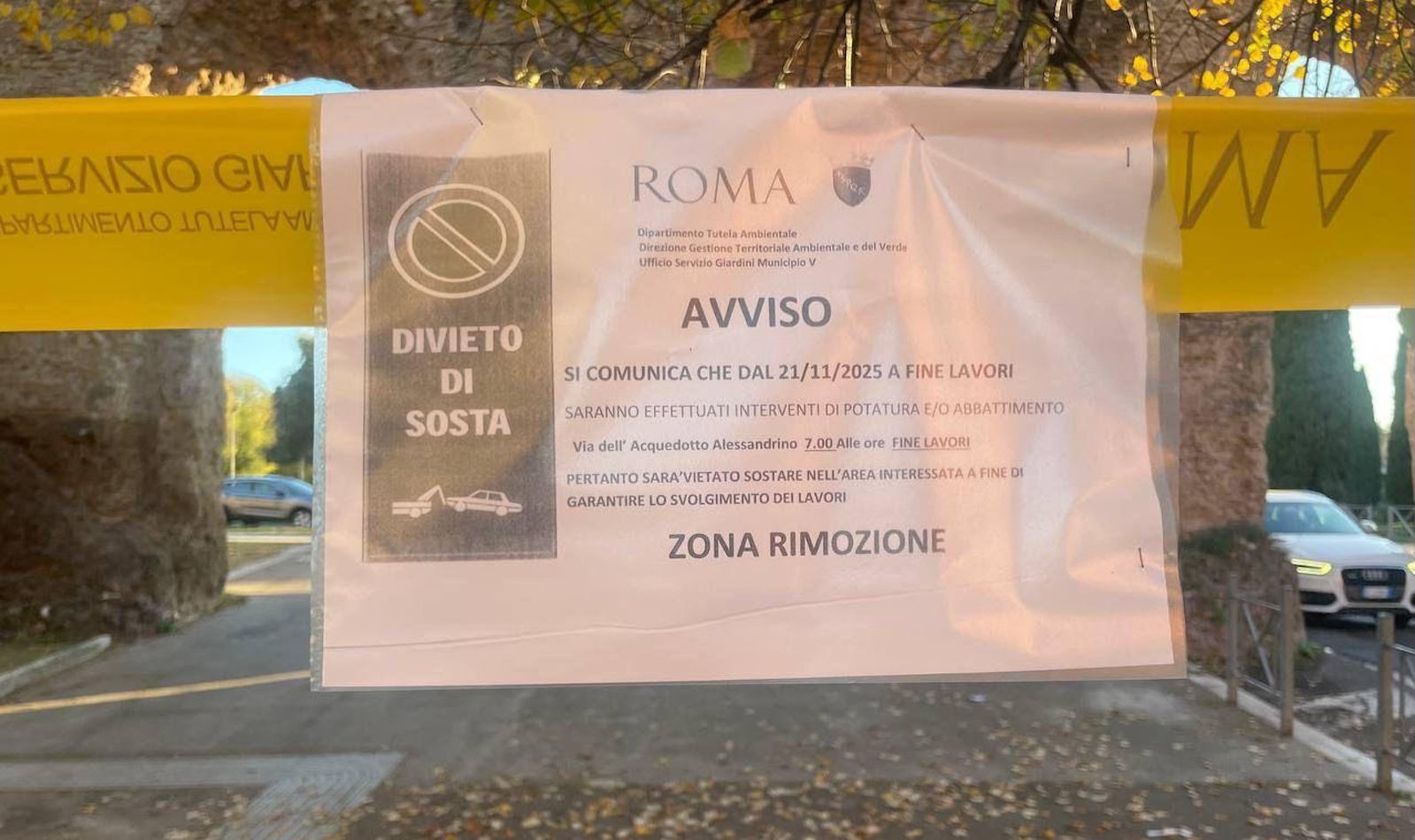 Avviso lavori potatura e abbattimento