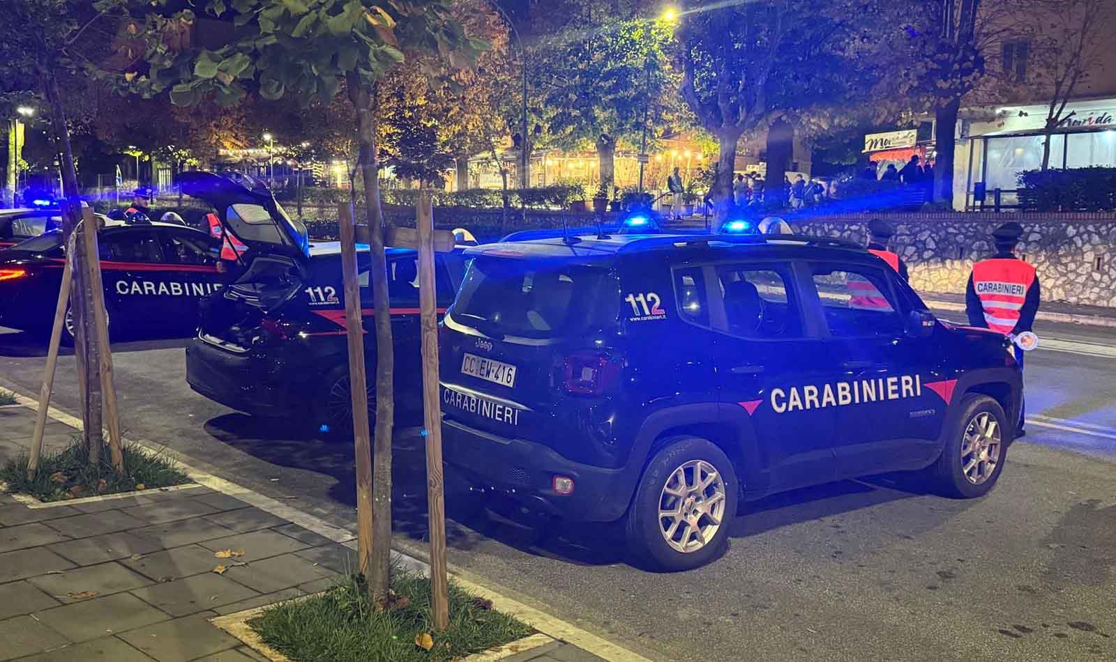 Carabinieri in azione