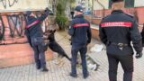 Roma, blitz all’alba al Quarticciolo: 4 arresti