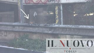 Roma, ennesimo incendio rifiuti al Viadotto dei Presidenti: poco distante operazioni di sgombero e bonifica