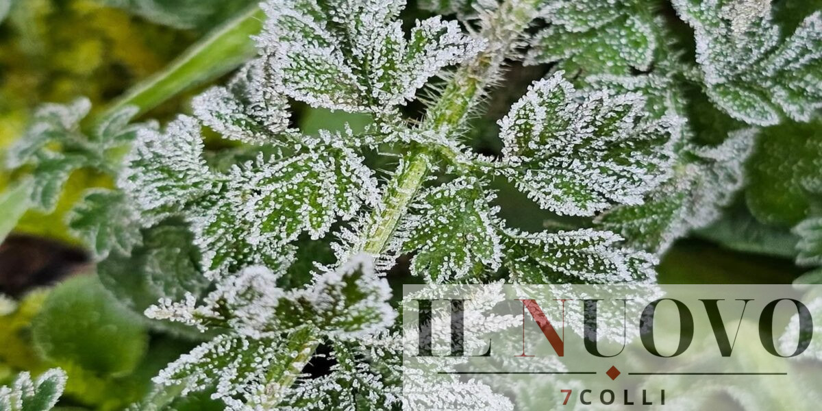 Arriva l'inverno con gelate e neve nel Lazio