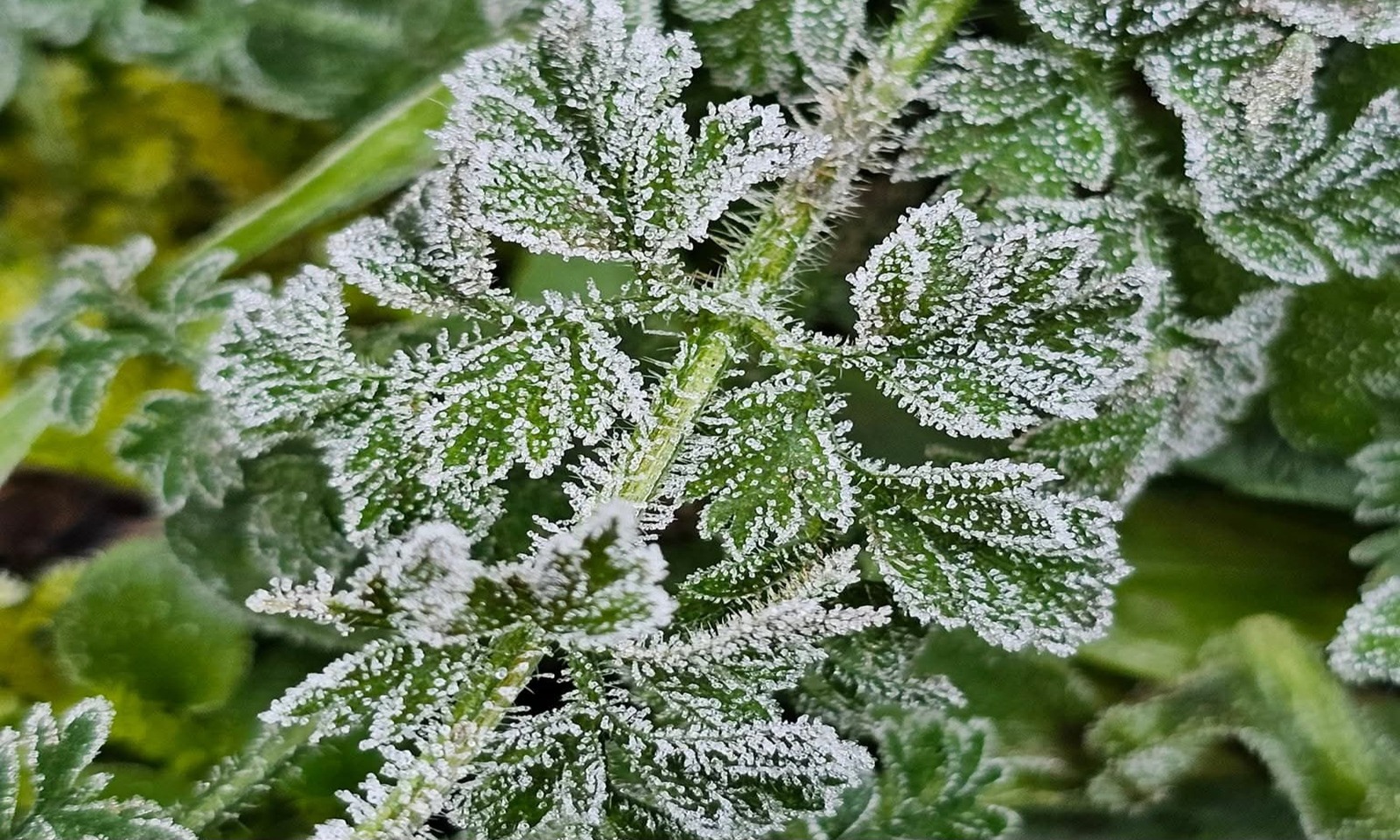 Arriva l'inverno con gelate e neve nel Lazio