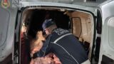 Roma, controlli al mercato Esquilino: carne stipata nei bagagliai e mezzo quintale di alimenti sequestrati
