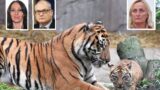 Bioparco di Roma, il Campidoglio affida gli animali ai ‘burocrati’ del CDA: esautorato il Comitato Scientifico