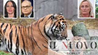 Bioparco di Roma, il Campidoglio affida gli animali ai ‘burocrati’ del CDA: esautorato il Comitato Scientifico