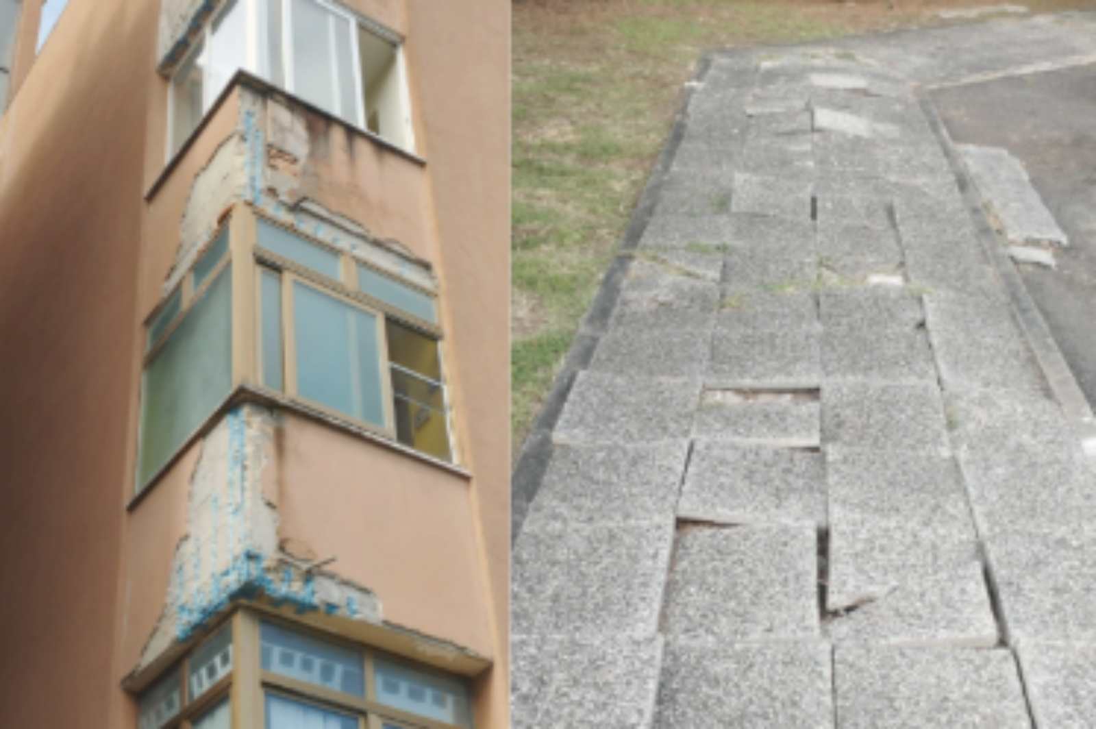 Roma, foto dalle case popolari