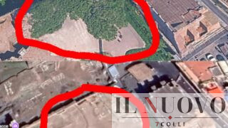 Roma, pini storici a ridosso della Torre dei Conti tagliati prima del crollo: ma il Campidoglio ha valutato i rischi?