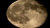 Oggi la Superluna del Castoro: come e quando vederla