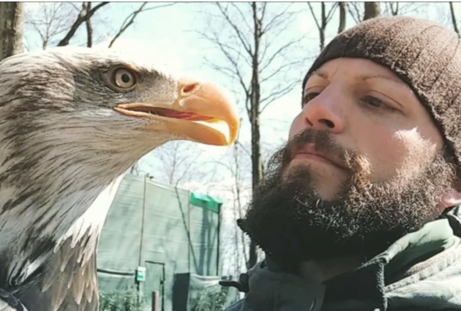 Il nuovo falconiere della ss Lazio, foto Instagram