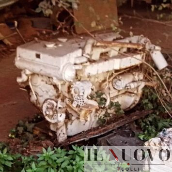 Motore barca - Tevere