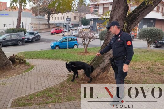 MONTEROTONDO - Controlli dei Carabinieri 