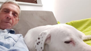 Fiumicino, sfrattato a Natale dopo una vita di precarietà: Massimo e il cane Sette lasciati senza casa