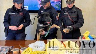 Controlli straordinari a Ostia tra droga e degrado urbano: sei arresti in 48 ore