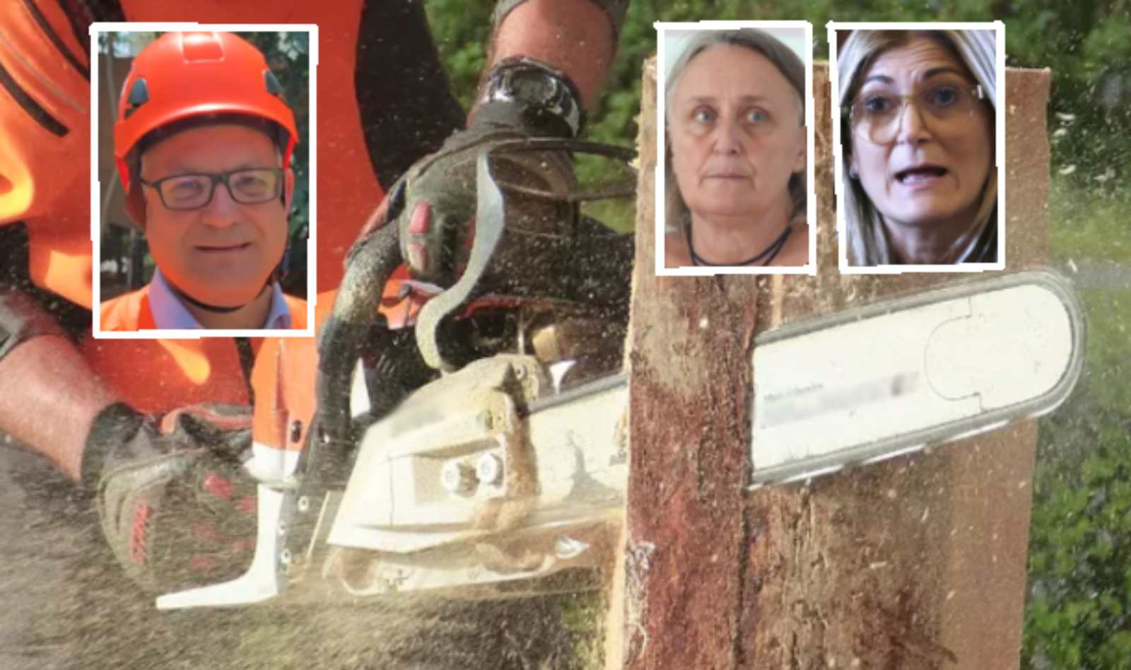 Roma, sullo sfondo la motosega che abbatte un albero, in primo piano il sindaco Gualtieri, la sua vice in Giunta Scozzese, con delega all Bilancio) e l'assessore all'Ambiente Alfonsi