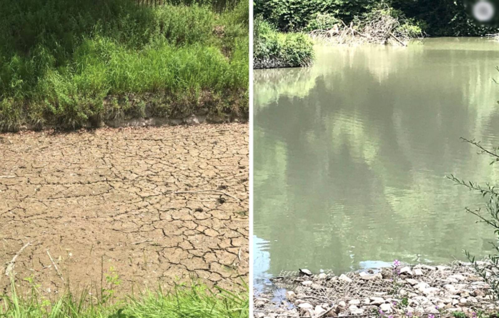 Roma, laghetto di villa Pamphili
