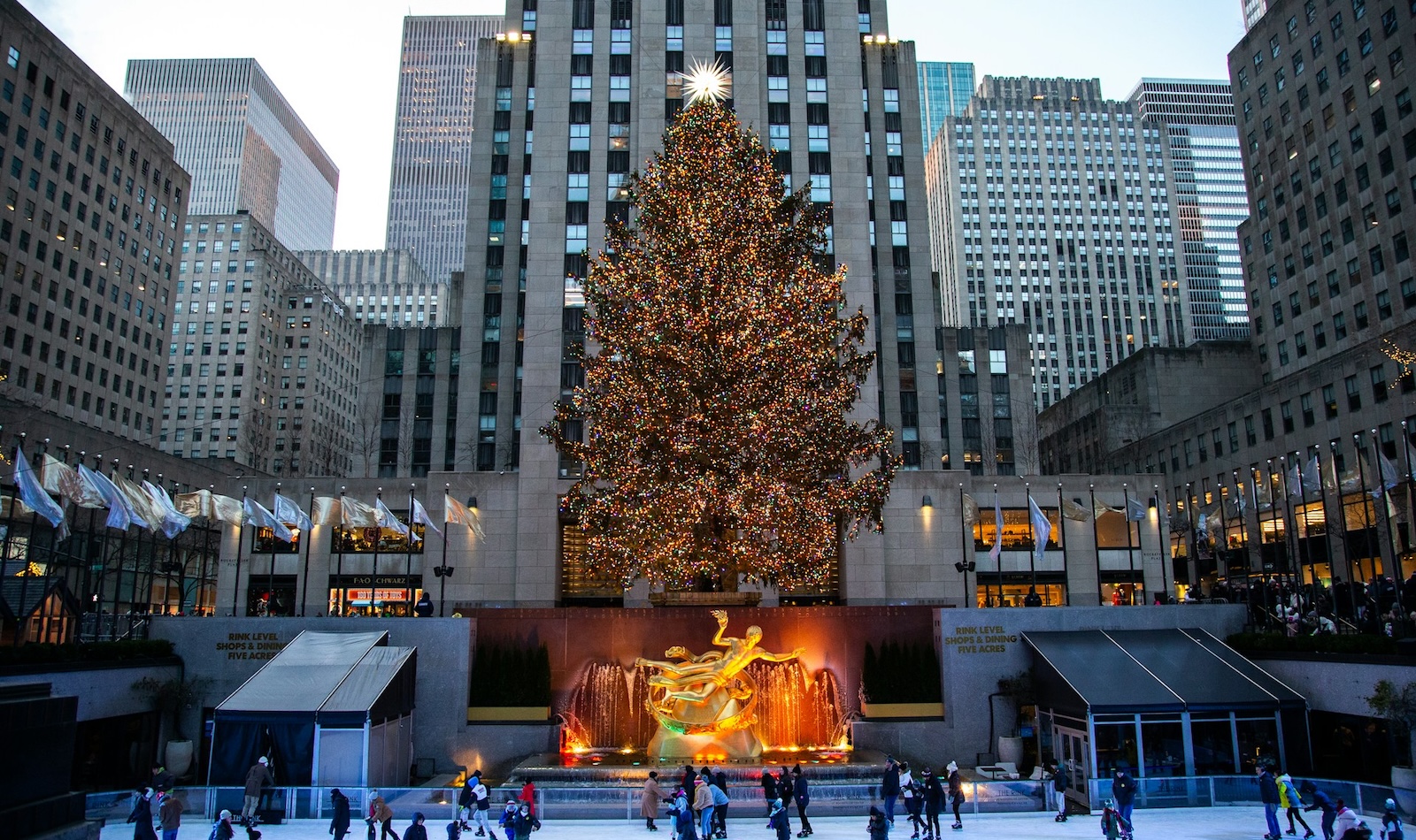 Rockefeller Christmas Tree