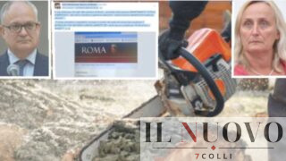 Roma, ok all’abbattimento urgente di alberi in due Municipi, i cittadini: “Motoseghe più veloci del sito internet del Comune”