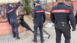 Roma, blitz antidroga “chirurgico”: 11 arresti e centinaia di dosi sequestrate al Quarticciolo