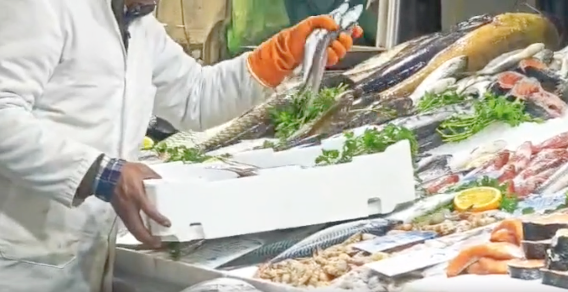 Roma, il banco del pesce -