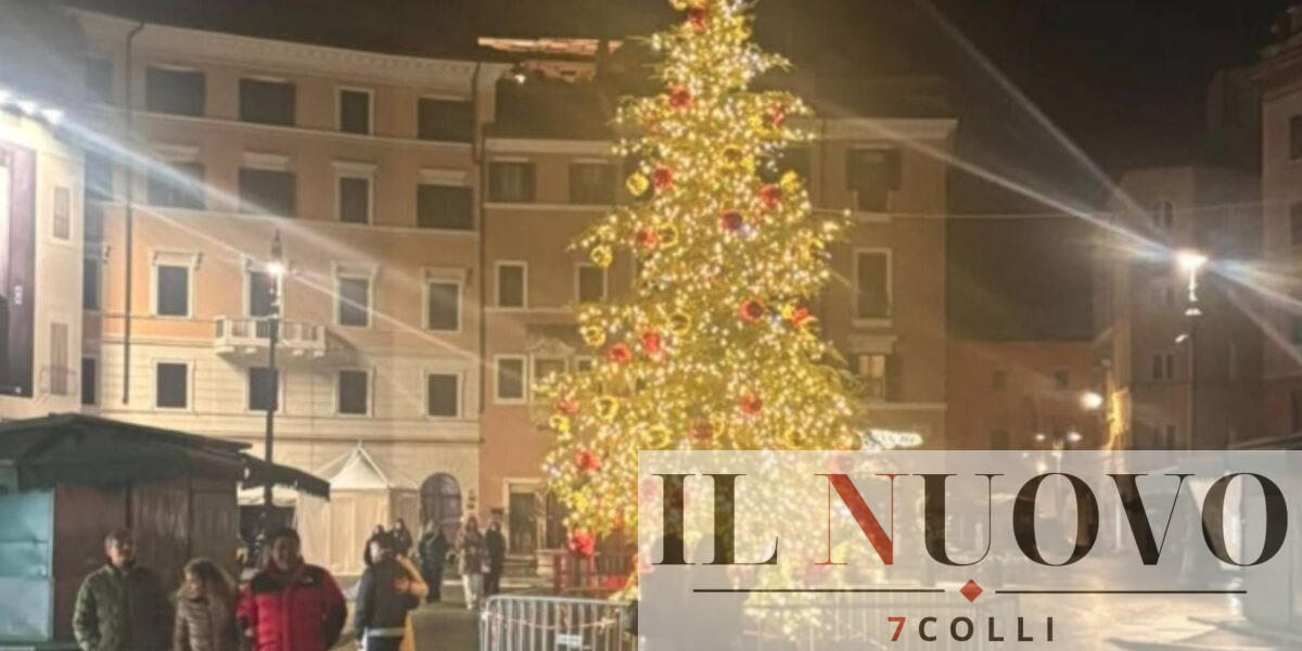 Roma, l'albero di piazza Navona, foto Instagram