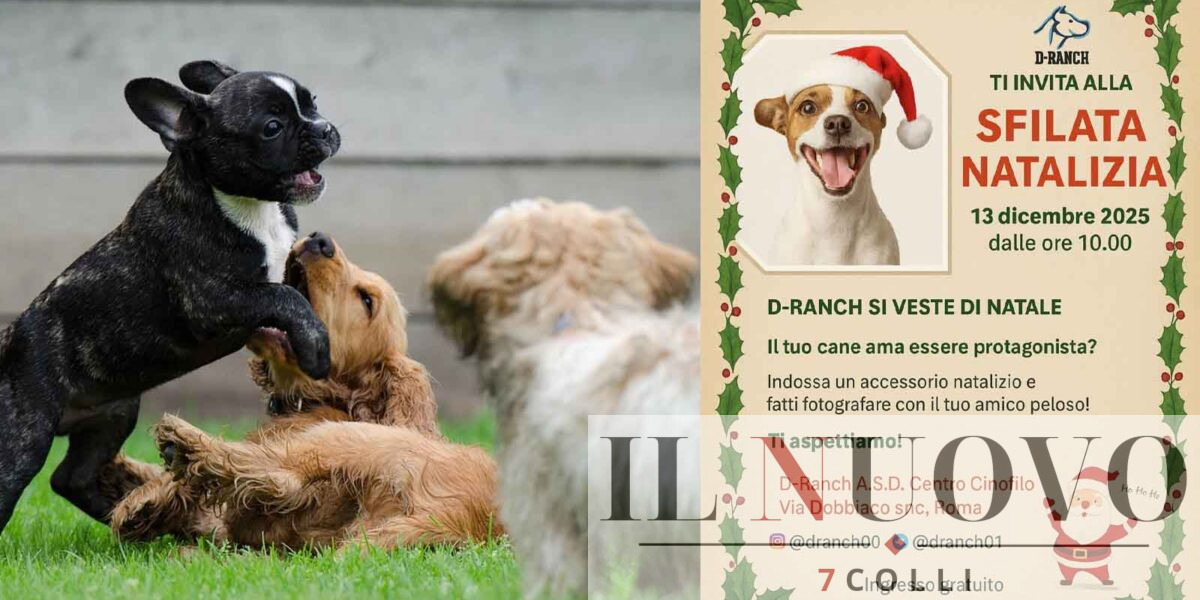 Roma, sfilata natalizia cani D-Ranch