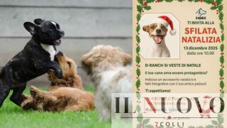 Sfilata natalizia per cani a Roma: al D-Ranch il Natale profuma di affetto e solidarietà